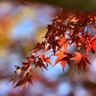 06-DSC_0885