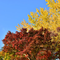 20-DSC_0934