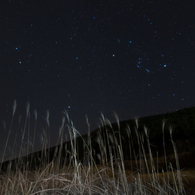 すすき草原の星空