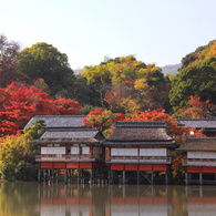 2014年紅葉04
