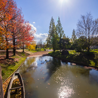 Clear autumn sky