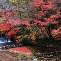 曽木公園