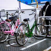 camucamu_20141203_177