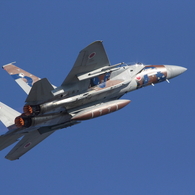 Aggressor