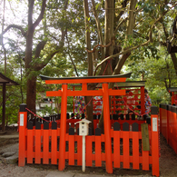 下鴨神社2