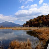 尾瀬ヶ原