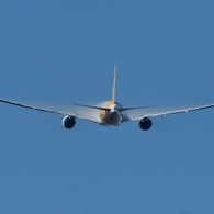 離陸（366）scoot 777-212 ﾍﾞｲﾊﾟｰ