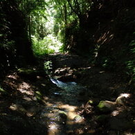 P6142354