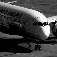 JAL B787