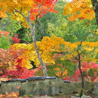 大本山永平寺御直末五鈷山光明寺