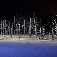 The night