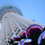 クリスマス