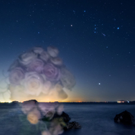 Bouquet & Stars *2