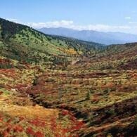 草津白根山 (18)