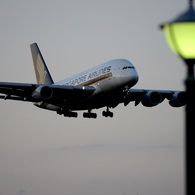 着陸(202-1)ｼﾝｶﾞﾎﾟｰﾙ・ｴｱ　Airbus A380-841　