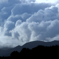 生き雲