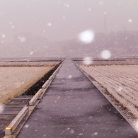 元旦に❤雪が降りました。