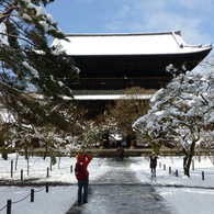 京の美１