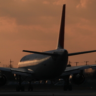 JAL A300-600R