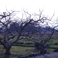 田舎の生活