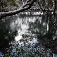 雪の丸池様-2