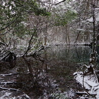 雪の丸池様-4