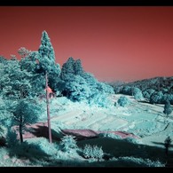 infrared landscape 2