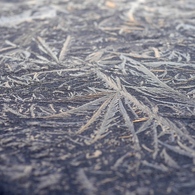 Frozen table 2