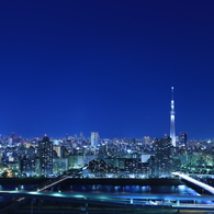 Ｃｉｔｙ　ｏｆ　ｎａｉｇｈｔ　Ｓｋｙ　Ｔｒｅｅ