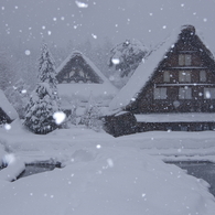 合掌造りに降る雪