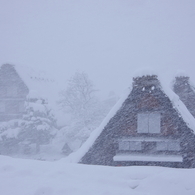 豪雪に耐える