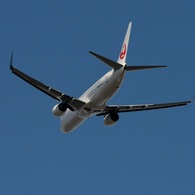 飛行 JAL 737-800