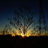 夕暮れ