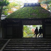 葦葺の山門