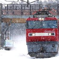 小雪降る・・・ II