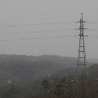舞い降りた白い天使
