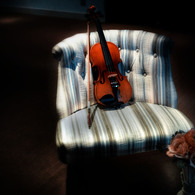 Fiori e Violino