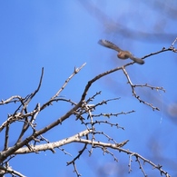 20150120-043
