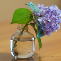 DSC09570