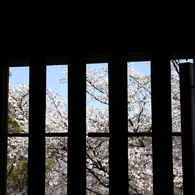 20140331-056