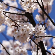 20140331-101
