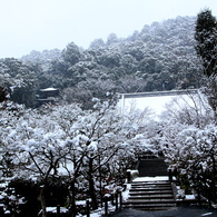 永観堂雪景（2月１日）