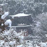 永観堂雪景（2月１日）