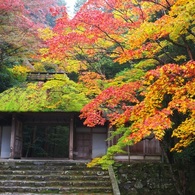 法然院山門