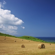 石垣島