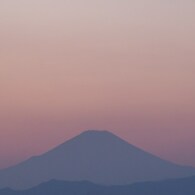 モモイロ