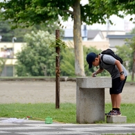 虫取りの休憩