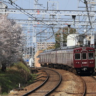 今年も最古参