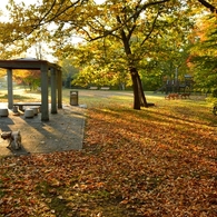 ふらり散歩　紅葉の中で朝日を受けて