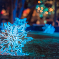 雪の結晶